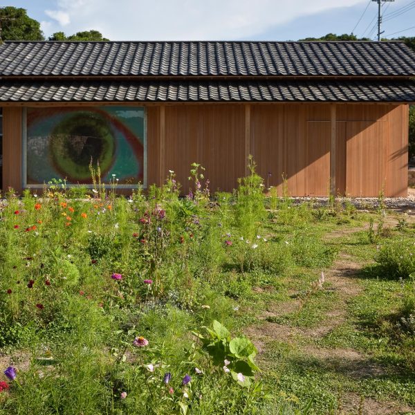 1.eyeball flower garden