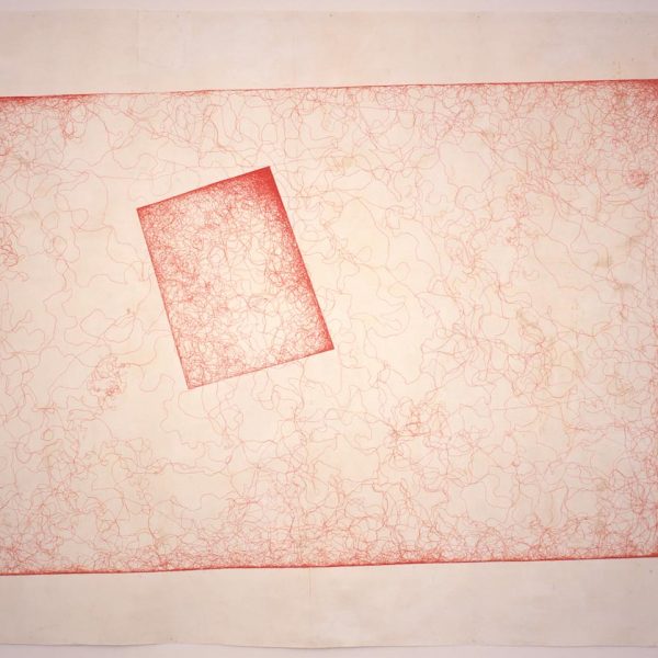 20.Wandering Position-Monomorium Minimum and Pogonomyrmex 1_1997