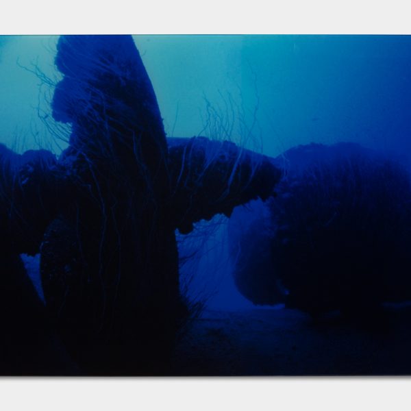 44.Nagato Blue – (propeller)